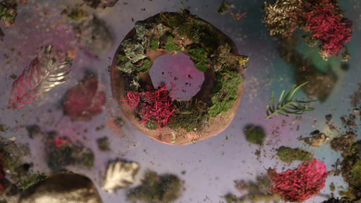 Eine Computergrafik mit Gro&szlig;aufnahmen von Bl&auml;ttern und Partikeln