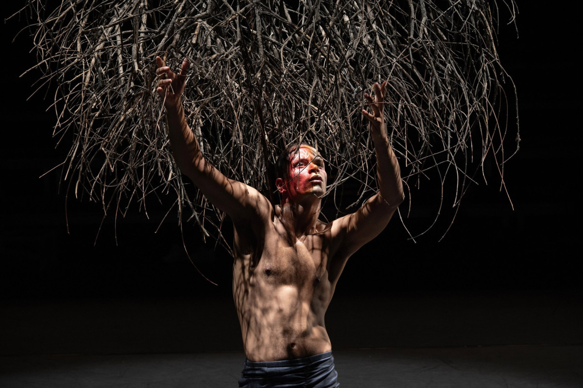 Mensch auf der B&uuml;hne unter Astgestr&uuml;pp