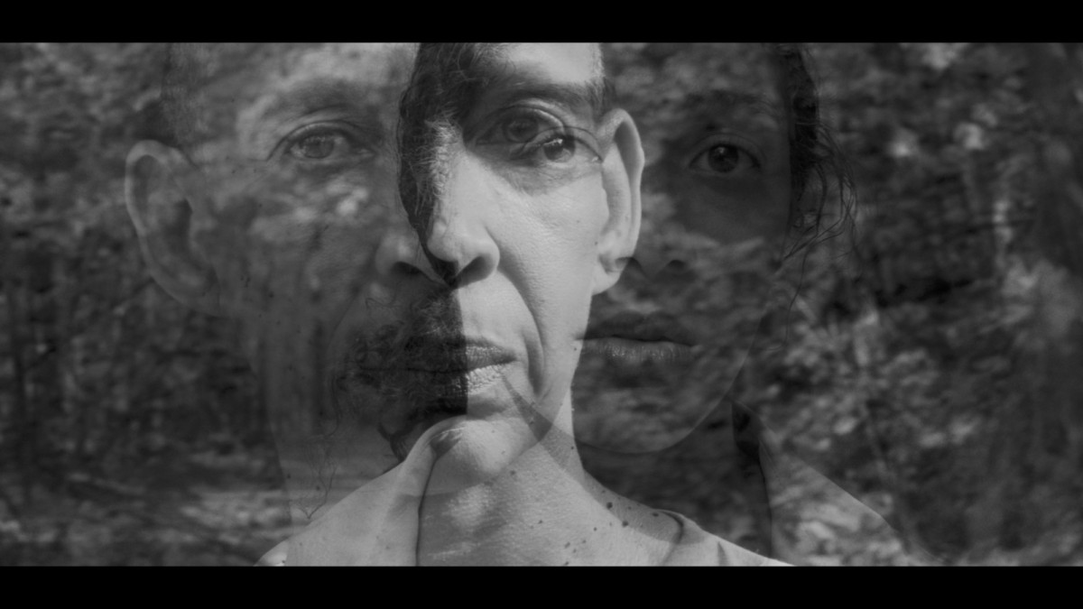 Die Gesichter von zwei Personen &uuml;bereinandergeblendet, im Hintergrund die Bl&auml;tter eines Waldes.