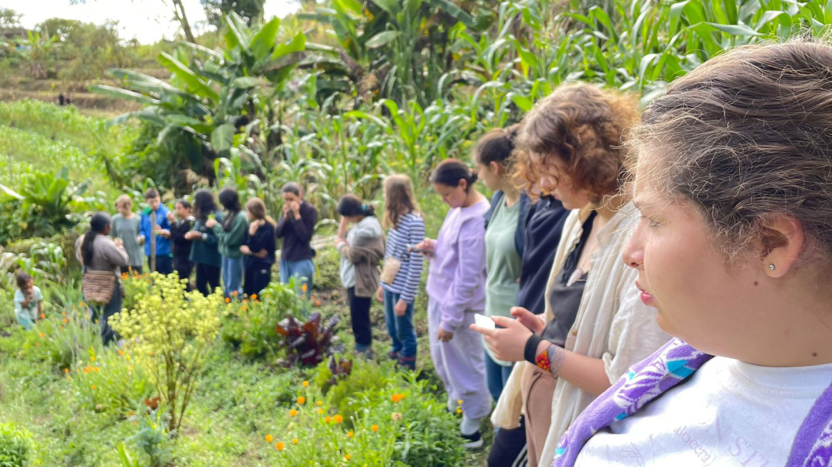 Eine Gruppe Jugendlicher im Gr&uuml;nen